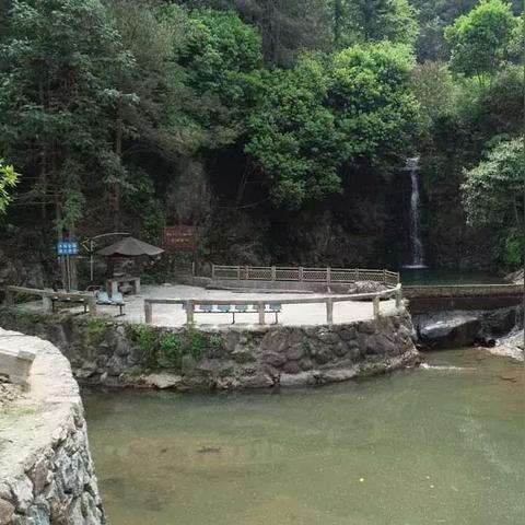 (大大的小小农场是真实的吗)小小大农场：免费畅玩，告别烦人广告，享受纯净农场生活