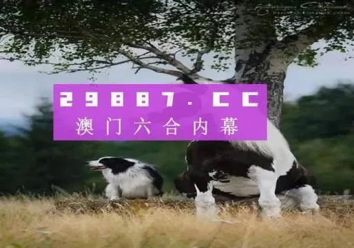 2024正版资料澳门跑狗图|实证数据解释落实_过度集.3.602