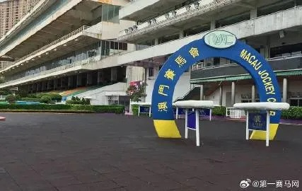 马会传真∽澳门|掌握趋势轻松应对市场变化_精英版0.213