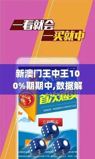 新澳门王中王王中王免费|可靠数据解释落实_参与版.9.976