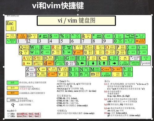新澳门资料大全正版资料2024年免费下载|解锁生活小技巧分享_学习款.5.320