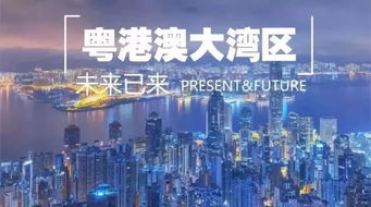 2024新澳资料免费精准051|探索城市文化的独特魅力_适配版.0.51