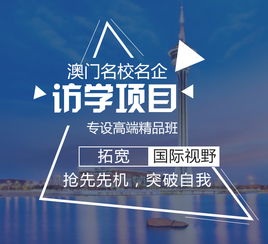 澳门特马开什么号|探索未来的幸运与机会_手机集.0.690