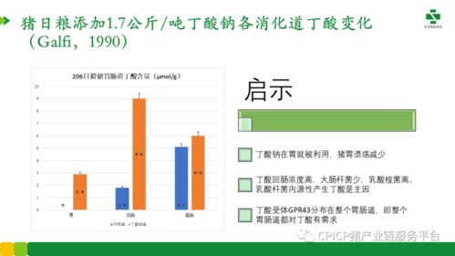 2023今晚新奥开奖结果|动态词语解释落实_未来版IP.7.658