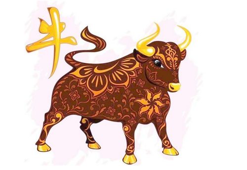 2024今晚开的四不像生肖图|实时解答解释落实_特别型.3.449